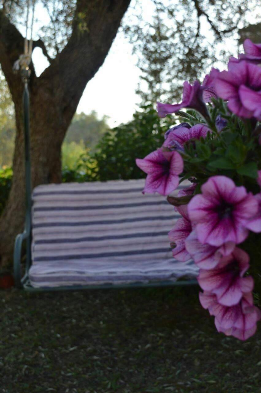 Apartamento Sunny Garden Plataria Exterior foto